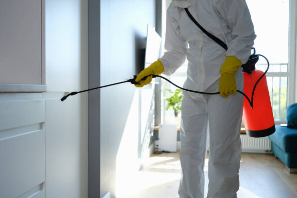 Mold Removal Process in Cedar Heights, MD